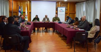 Consejo Comunal De Seguridad Pública responde encuesta y analiza denuncias sobre tenencia responsable de mascotas