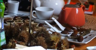 Pucón invita a una sabrosa muestra de la castaña que “se postula” como festival