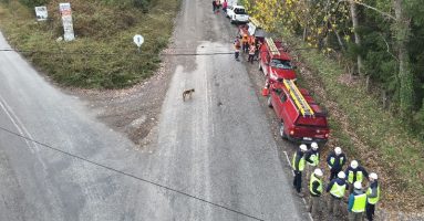 CGE lidera operativo de hurto de energía en sector “Vida Nueva” de Villarrica