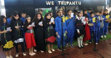 Escuela Valentín Letelier fortalece la identidad cultural y la conexión con la naturaleza 1 Escuela Valentín Letelier fortalece la identidad cultural y la conexión con la naturaleza